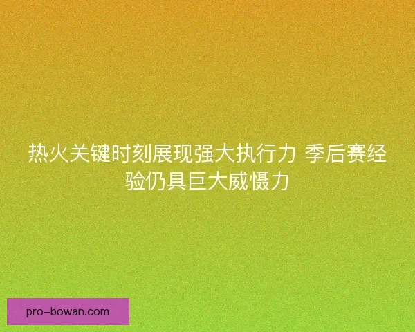 热火关键时刻展现强大执行力 季后赛经验仍具巨大威慑力